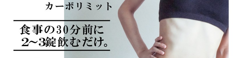 ���������T�v���A�J�[�{���~�b�g���T�C�g